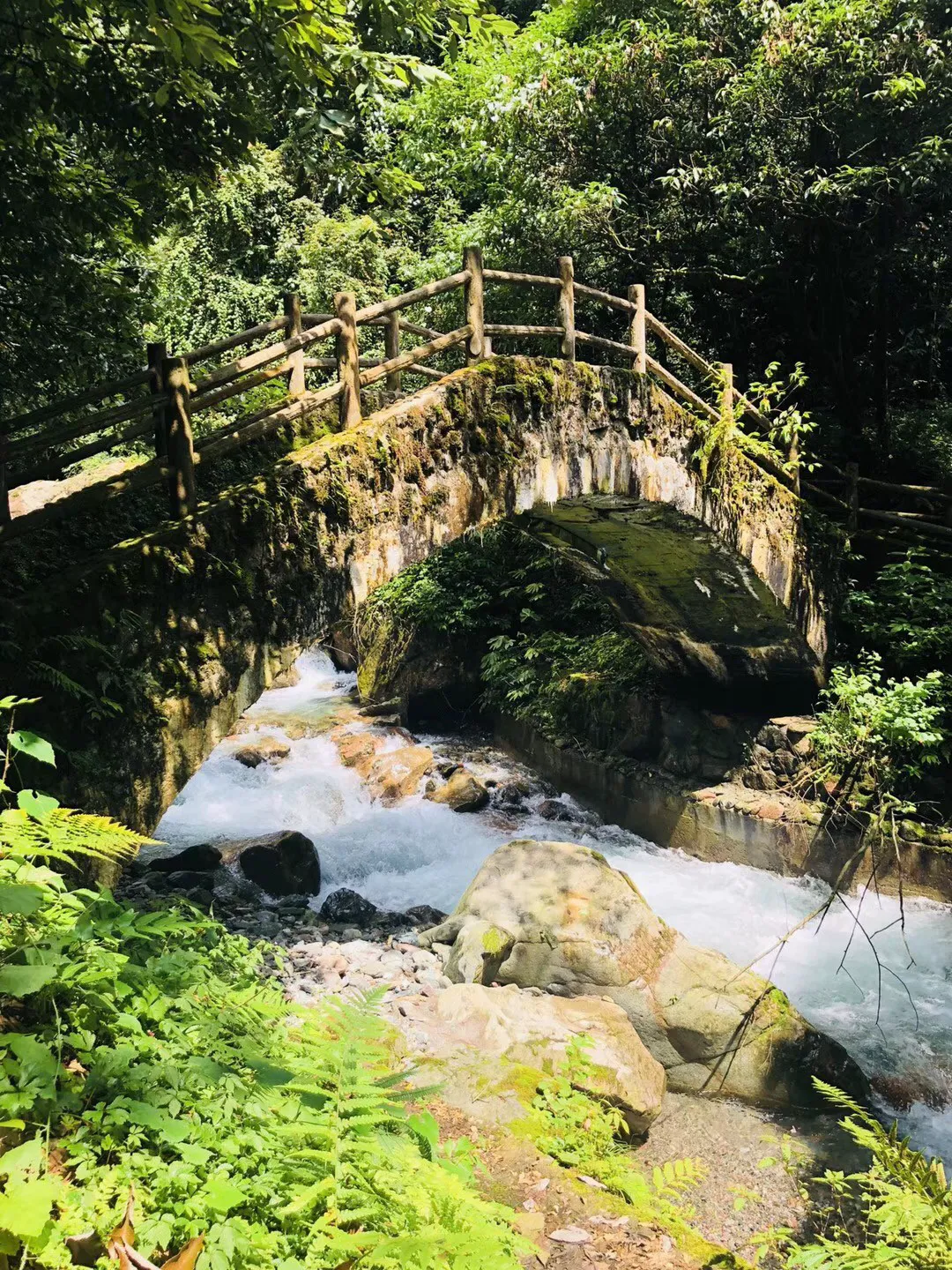 在普高氛围太差,选择了退学,社会考生参加高考,是会比待在学校考得好还是差呢?如何学习.怎么样才能-你的知识星球平台
